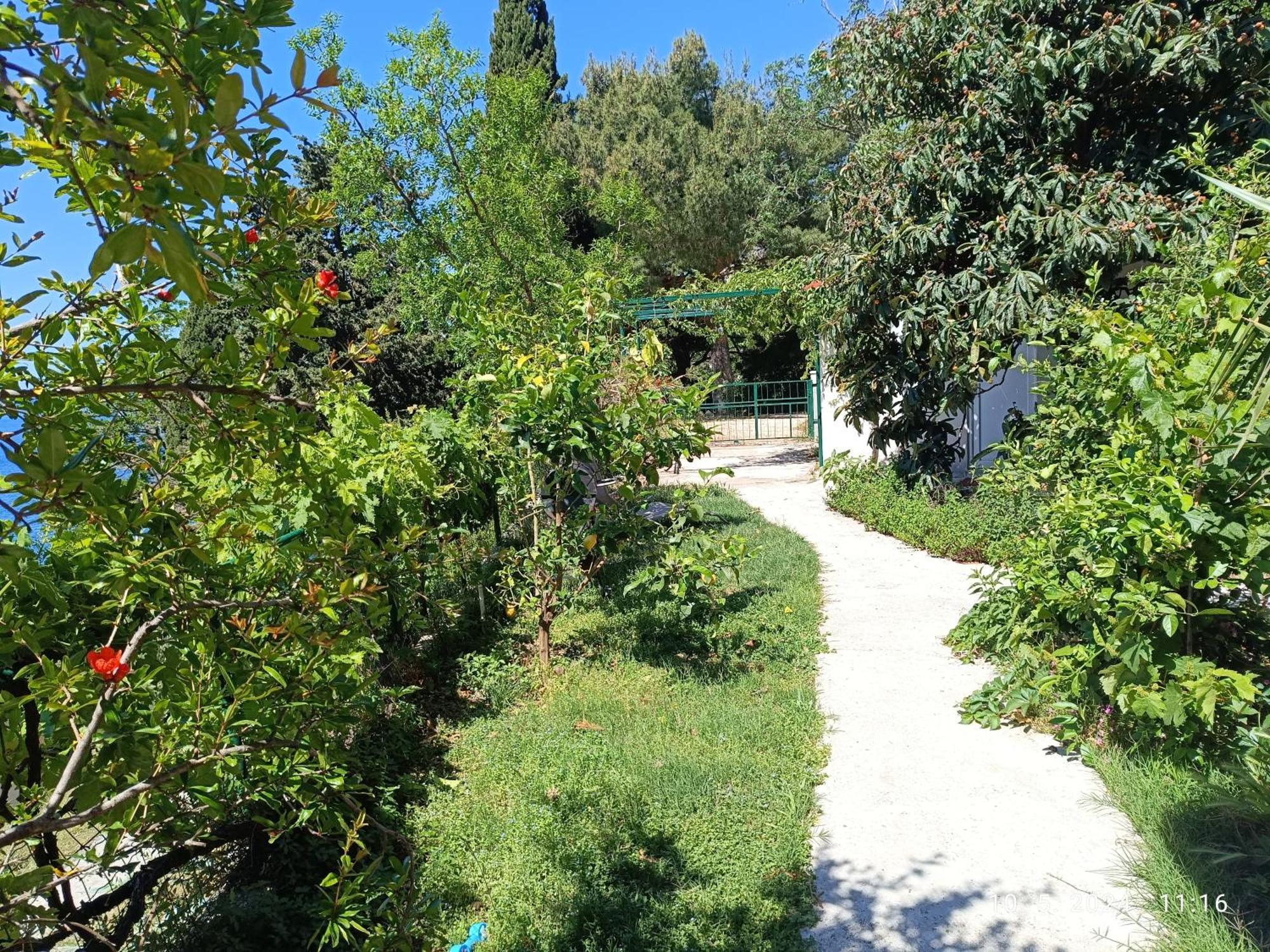 Apartamento Leonica Omiš Exterior foto