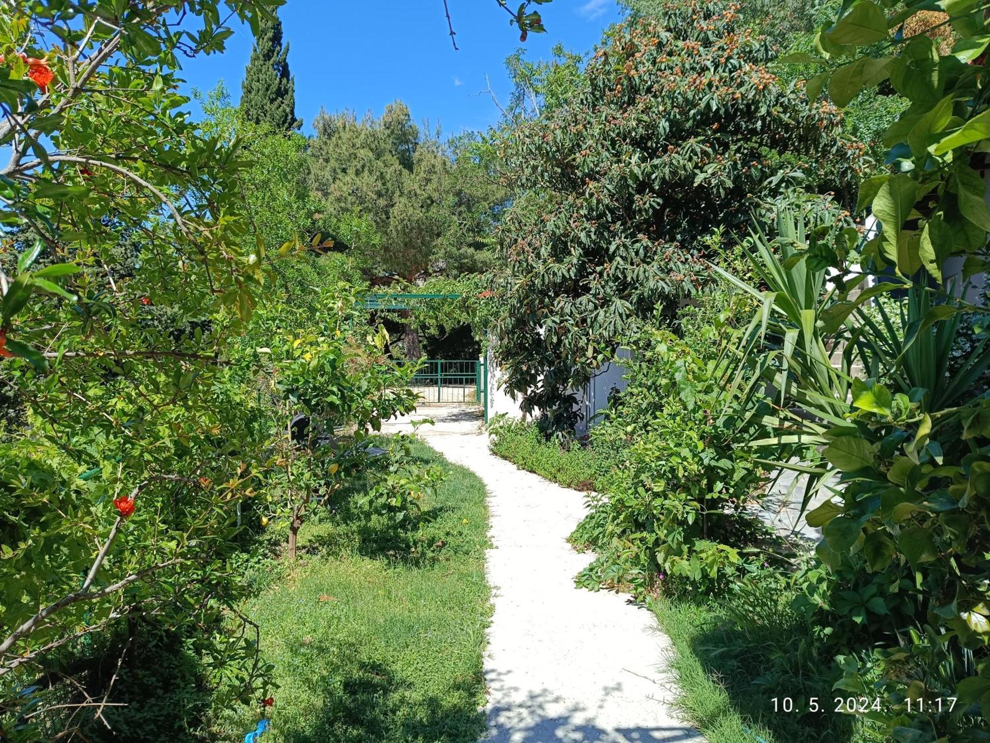 Apartamento Leonica Omiš Exterior foto